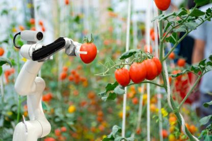 Picture of How coronavirus set the stage for a techno-future with robots and AI